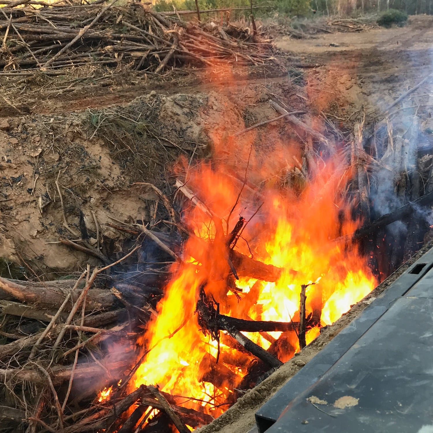 Vegetative Debris